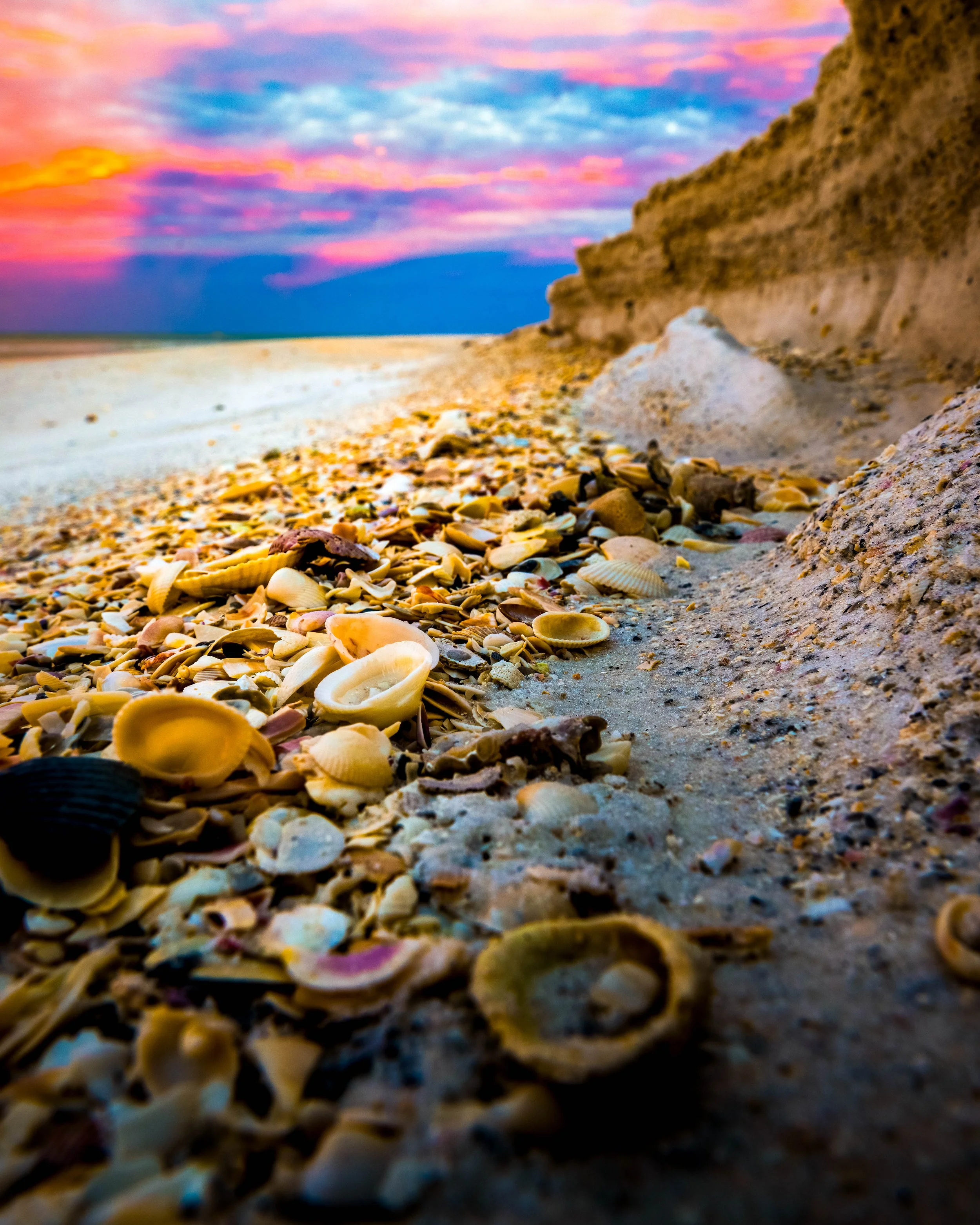 Marco Island: A Nature Photographer's Paradise — Rylan's Amazing